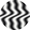 Zebra butter squishy skin